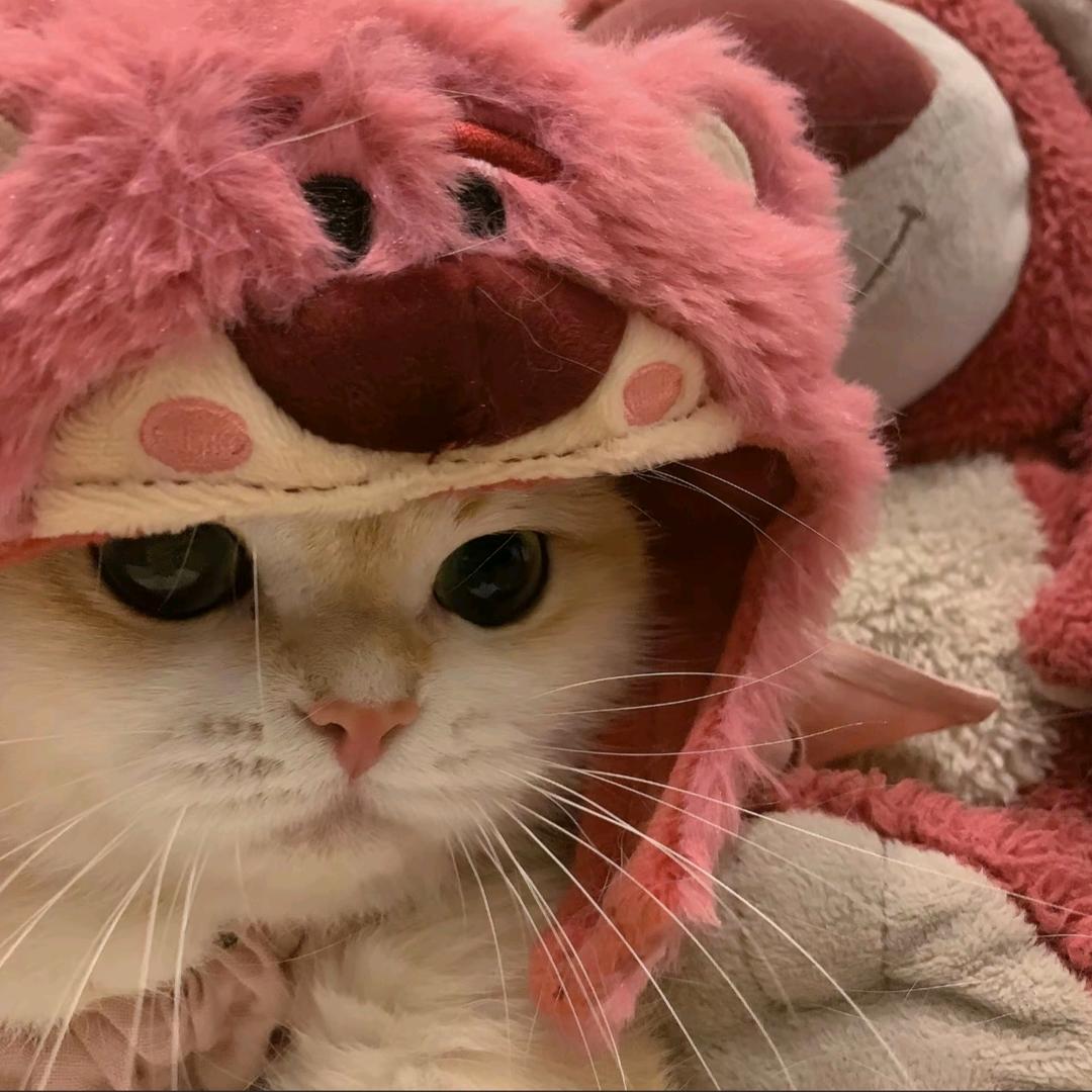 满船清梦压星河