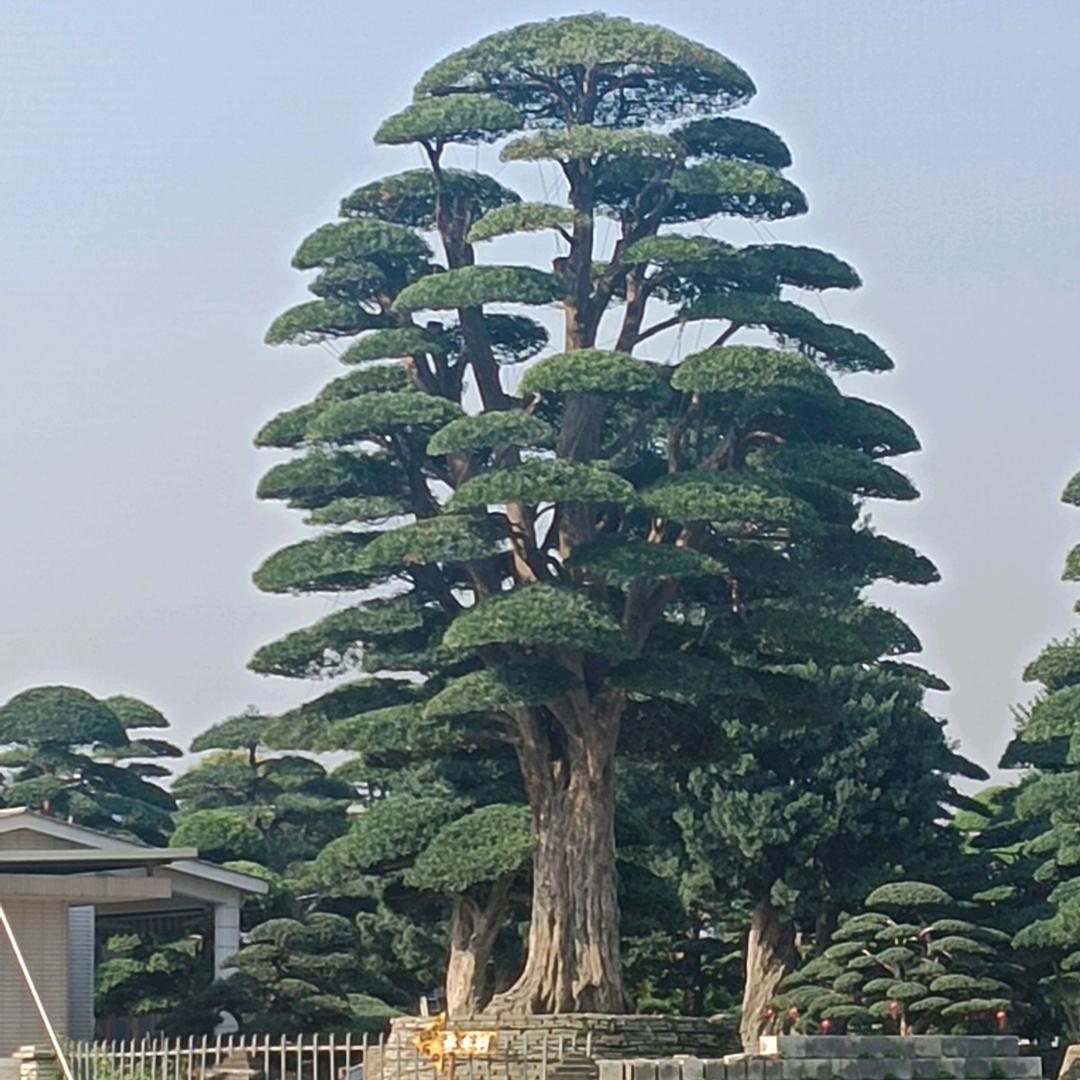 庭院艺术生活馆  内江