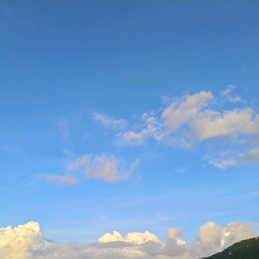 是     小   酒    酒   呀