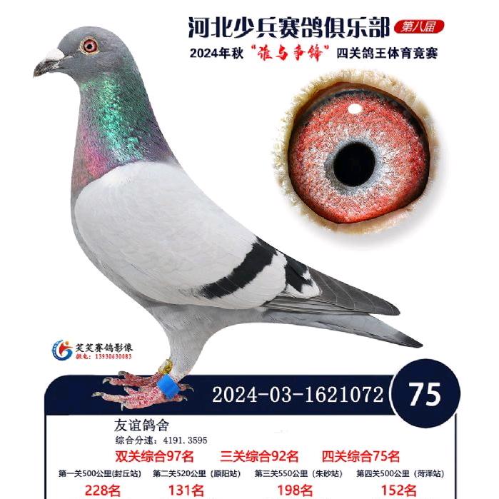 固安小鸽舍