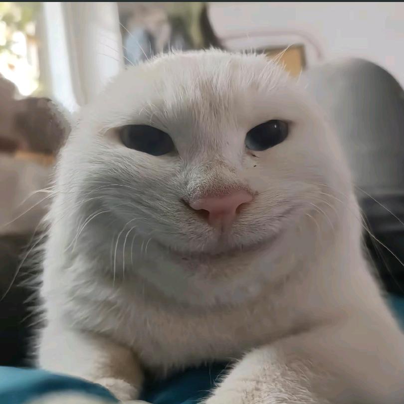 AAAAA糖醋里脊扒饼李姐