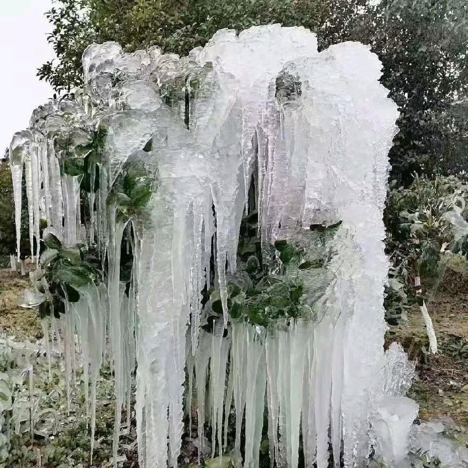 劉爱细