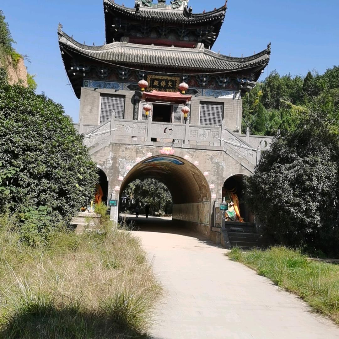 神都诚信养蝎