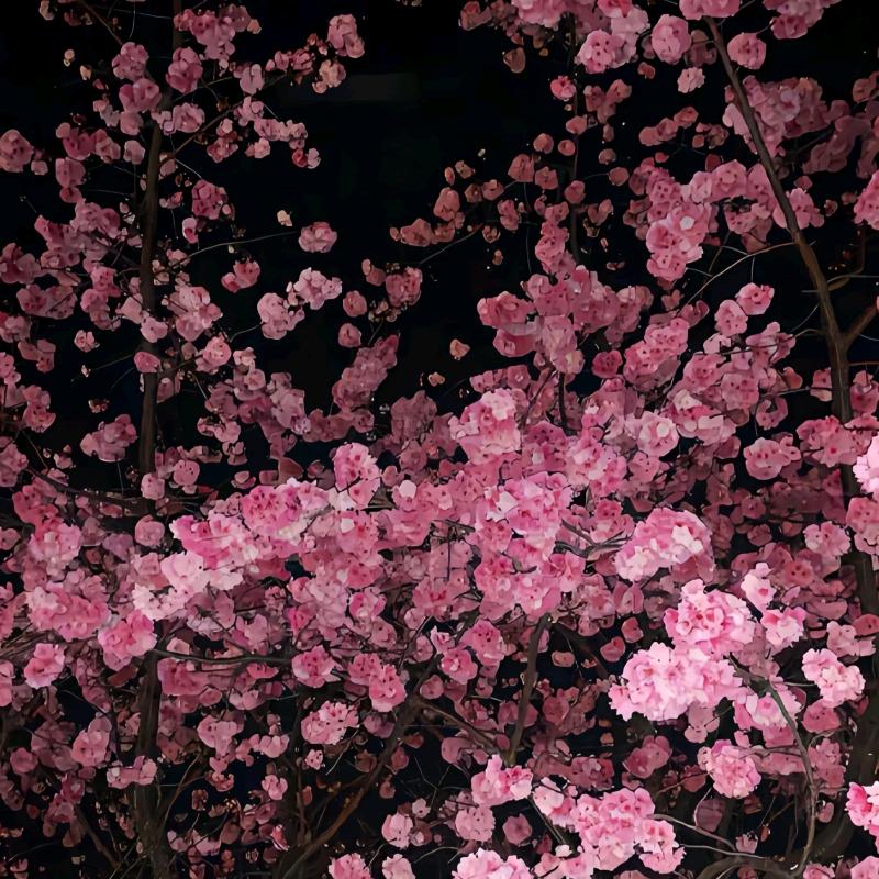 重生之我在绿腾当学姐