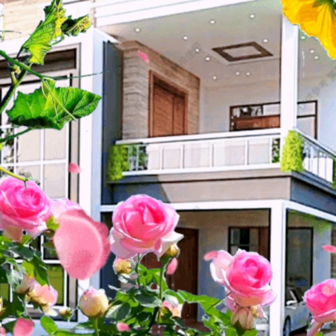 嫂子当家。陈总