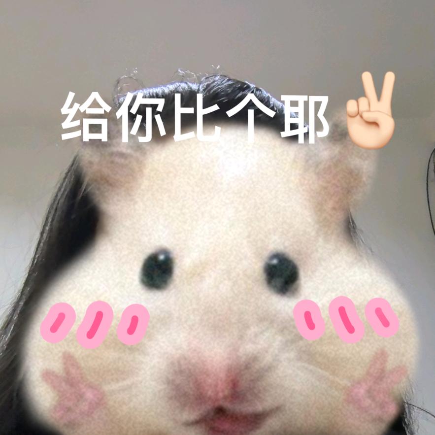 yi支牵牛花