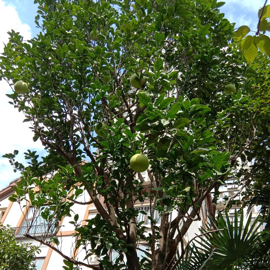 学会拒绝
