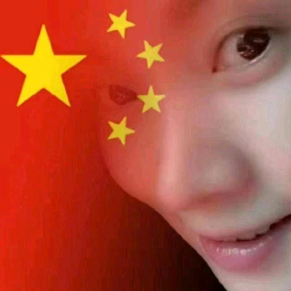藏羚羊…☘️