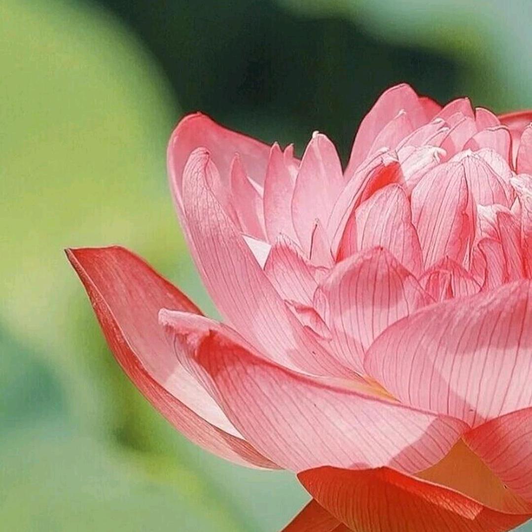 天天快乐（每天上午9:30下午8:30）