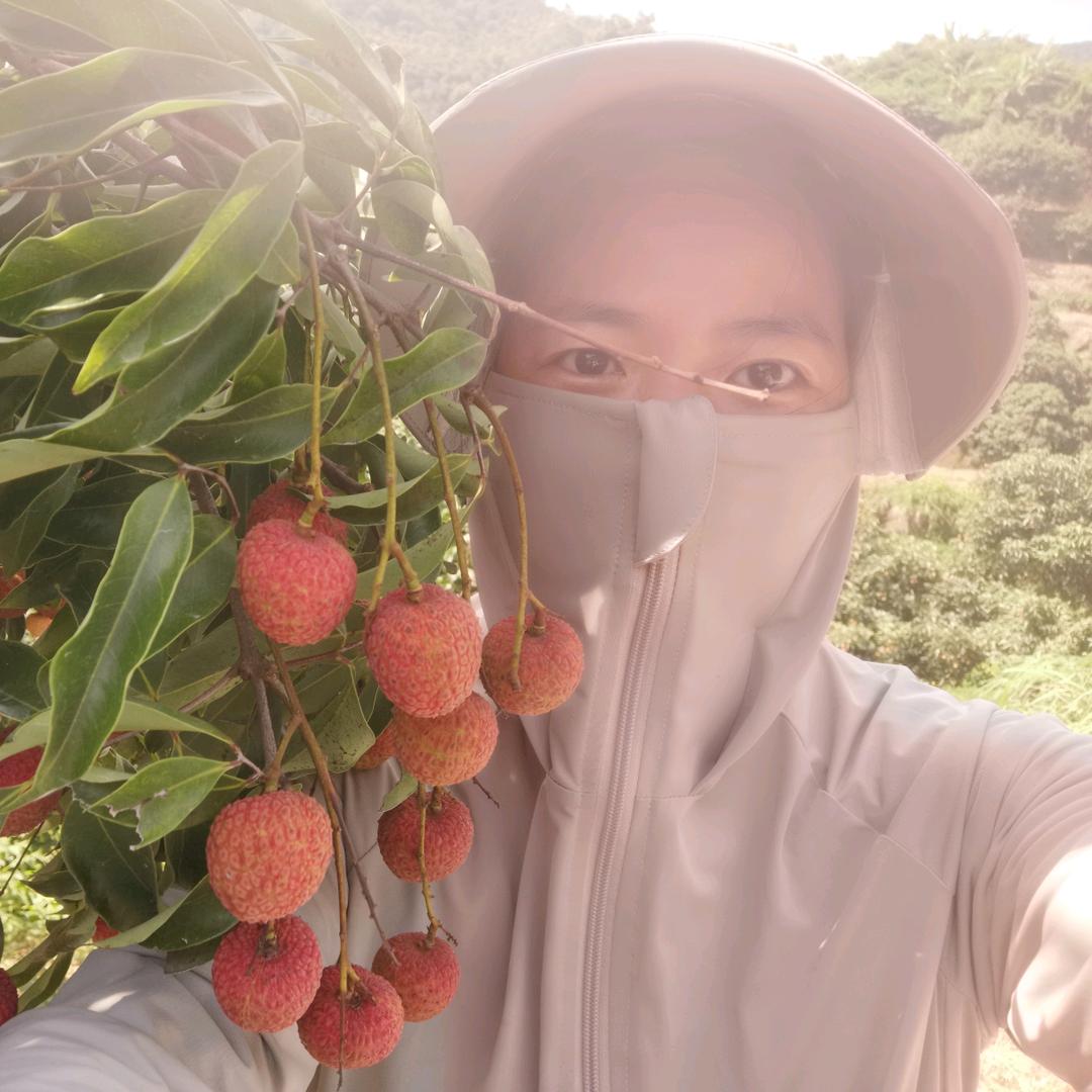 兰花豆