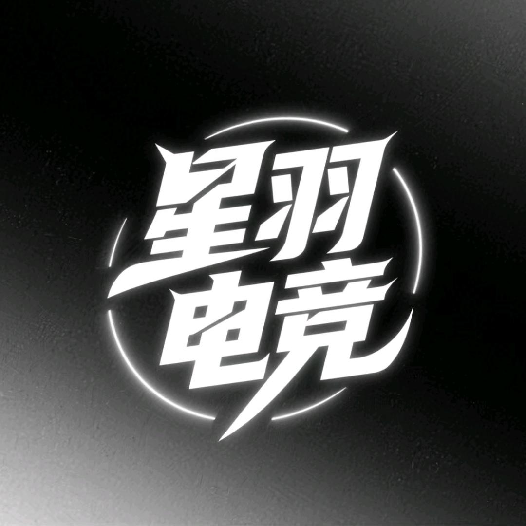 星羽电竞(三角洲)