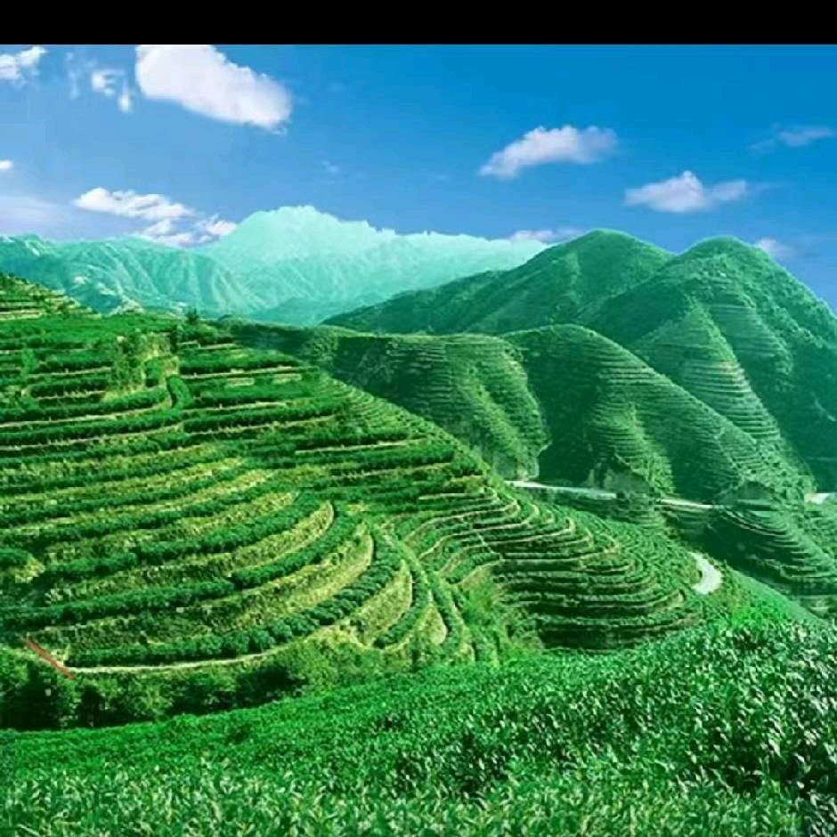 美丽的天空