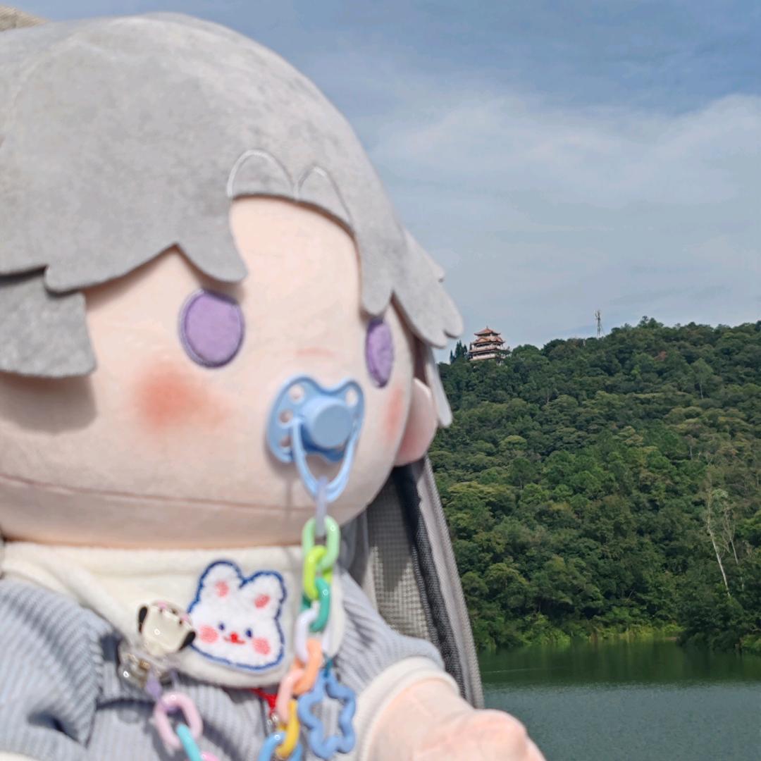 那年夏天被当猪头的日子