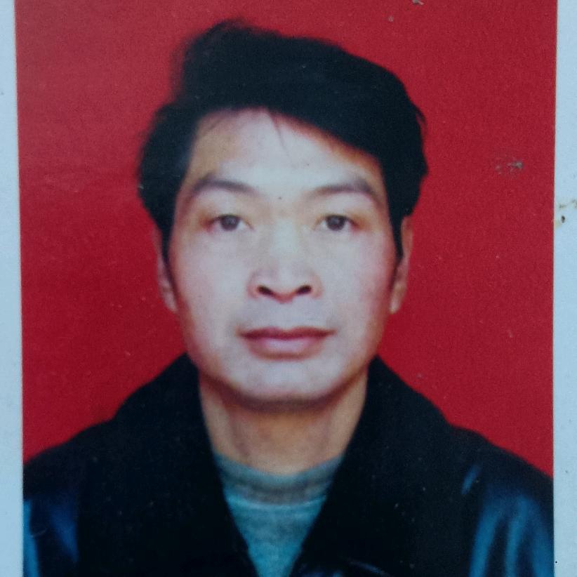 凤凰福宝