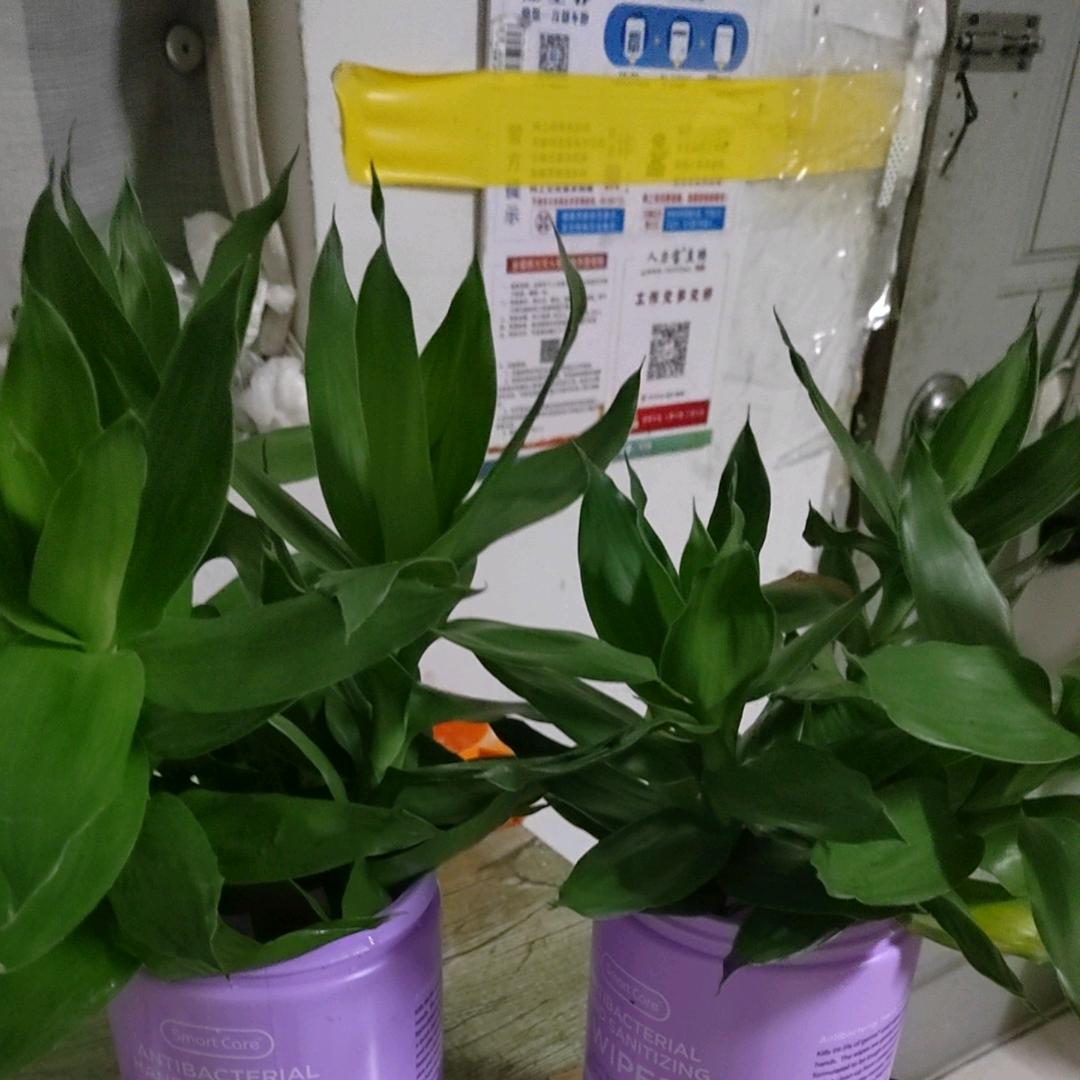 心有多宽，路都有多长？？？