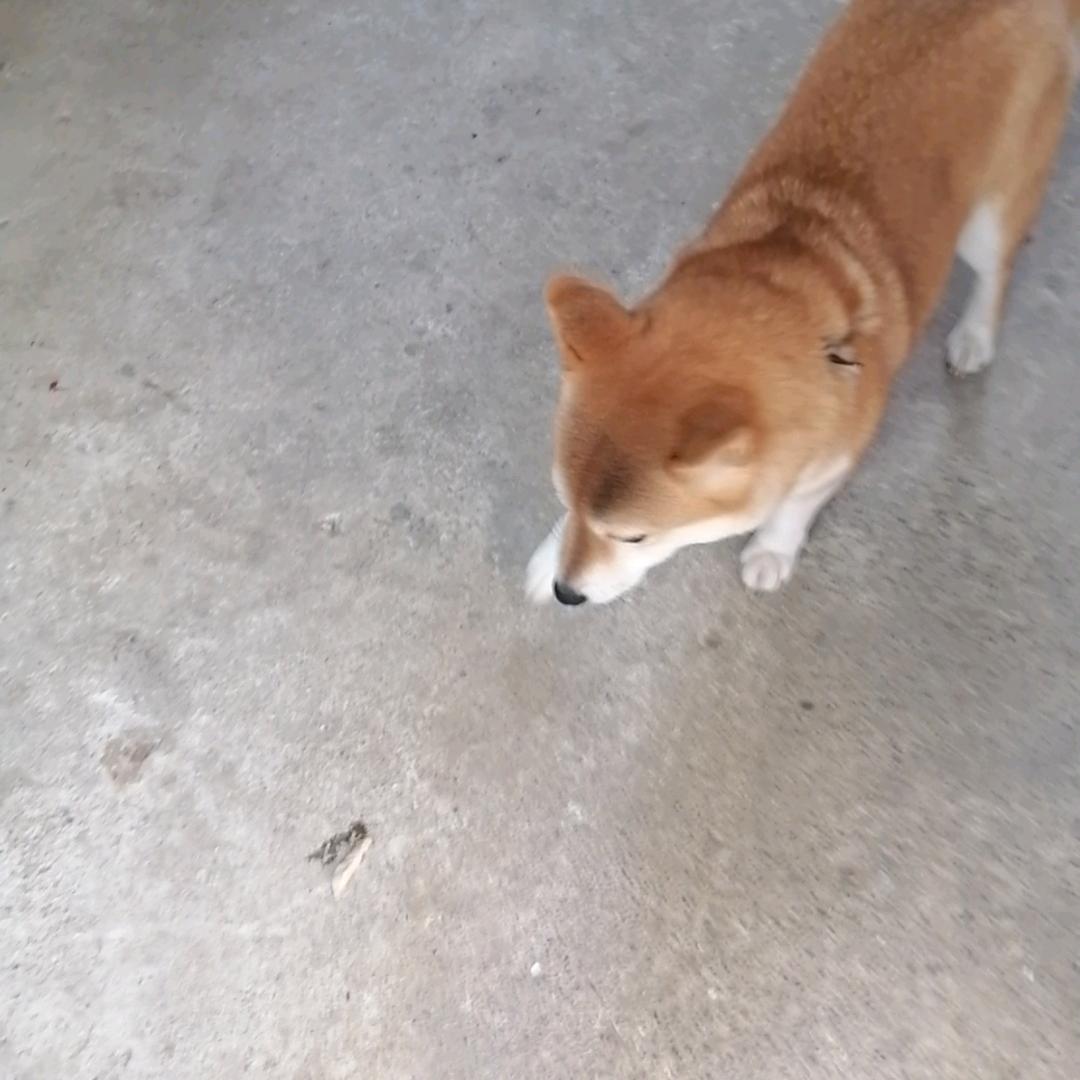 知足常乐