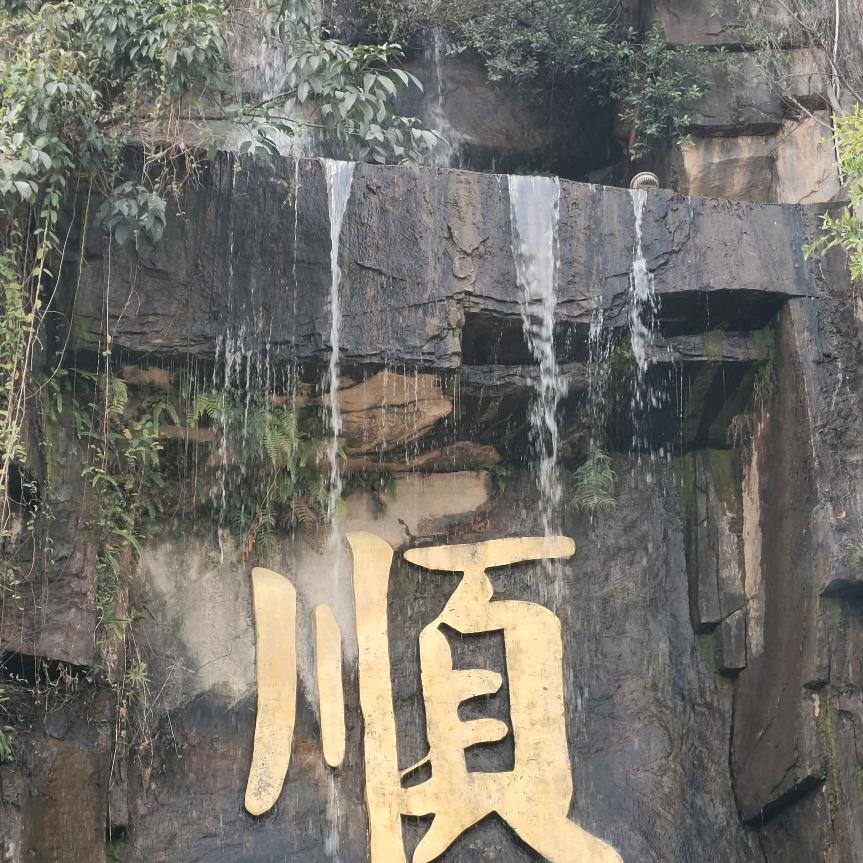 南方的朋友