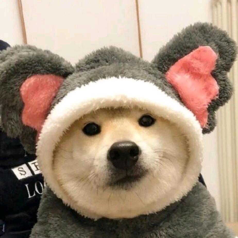 不知道叫啥