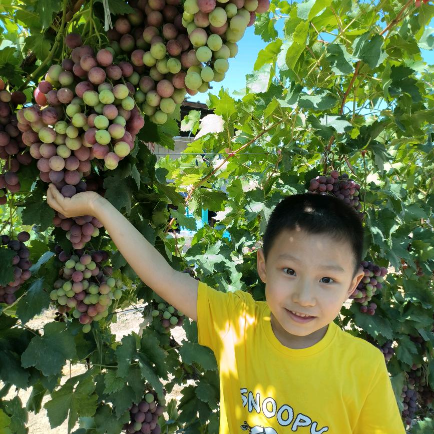 可口不可乐(请叫我路路)