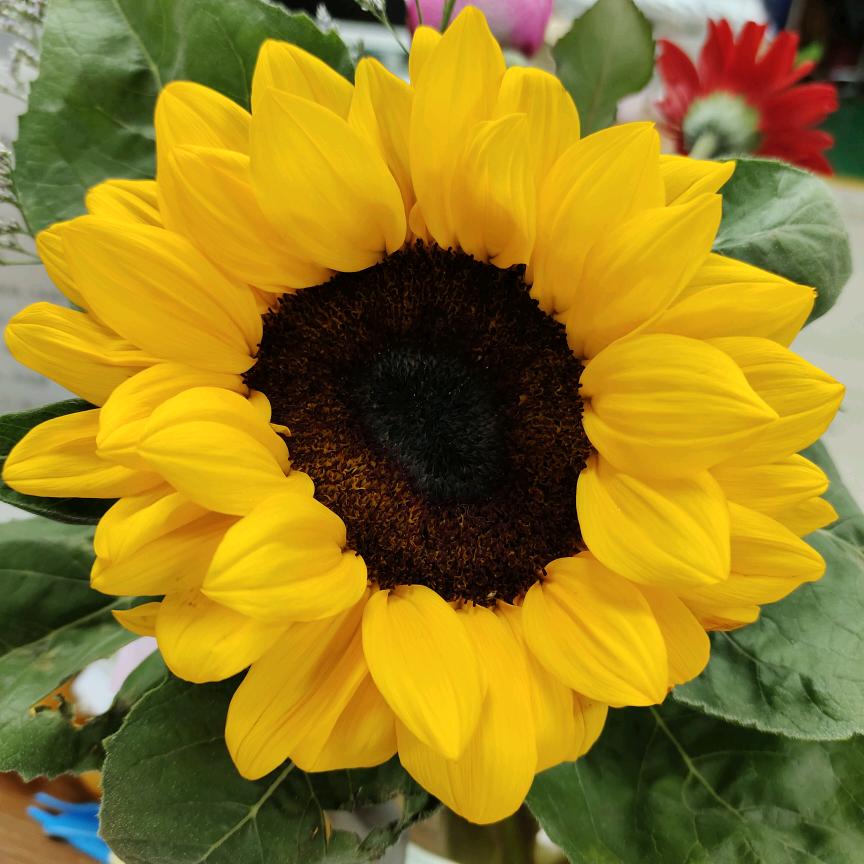 开心过好每一天