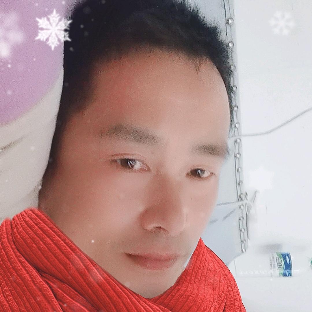 鸿运腾飞