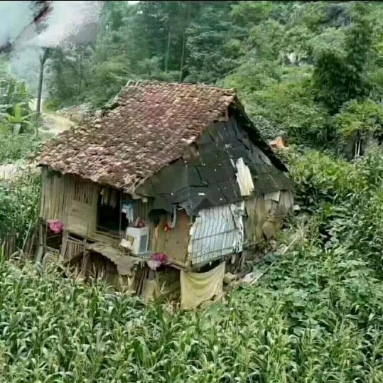 岩飞