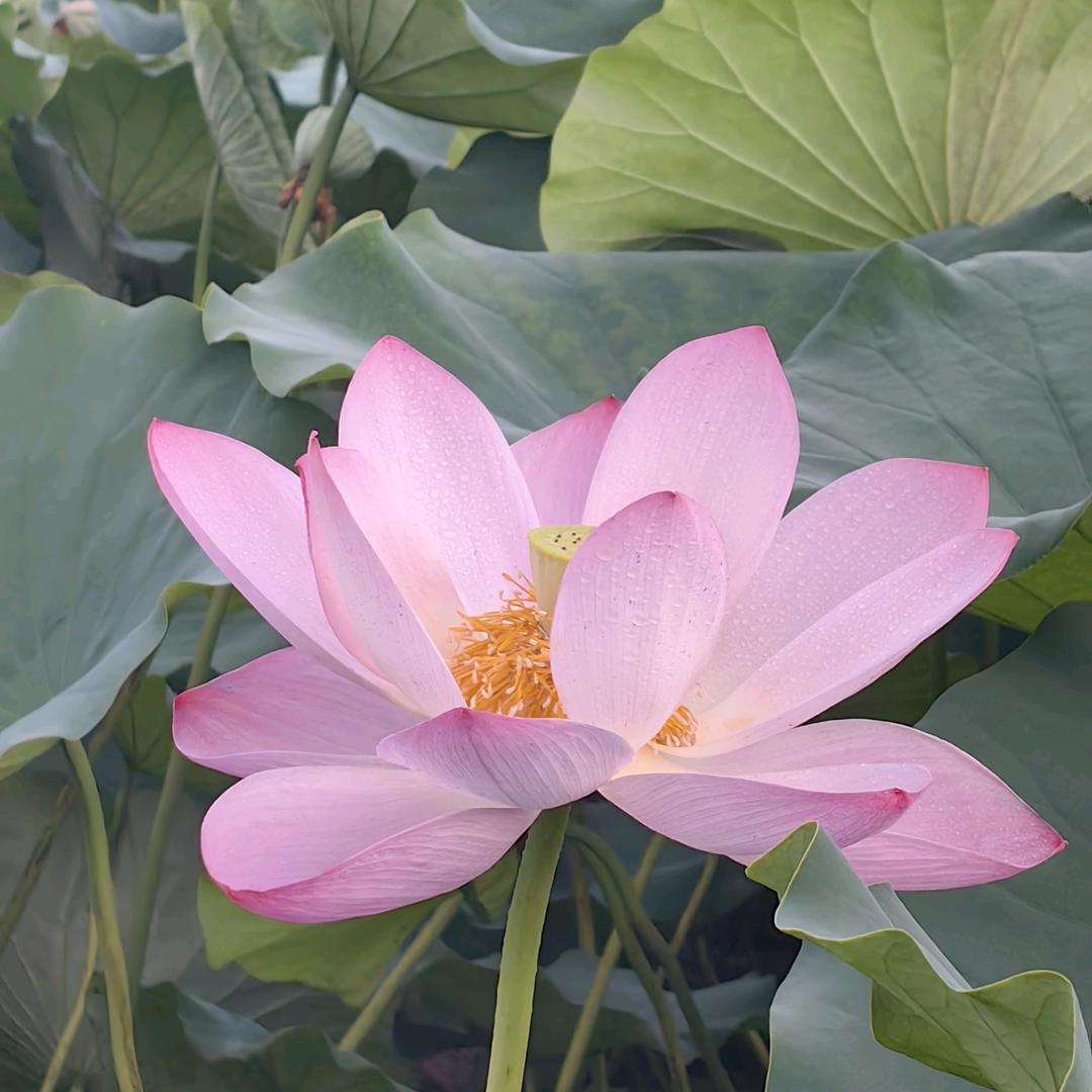 越来越好