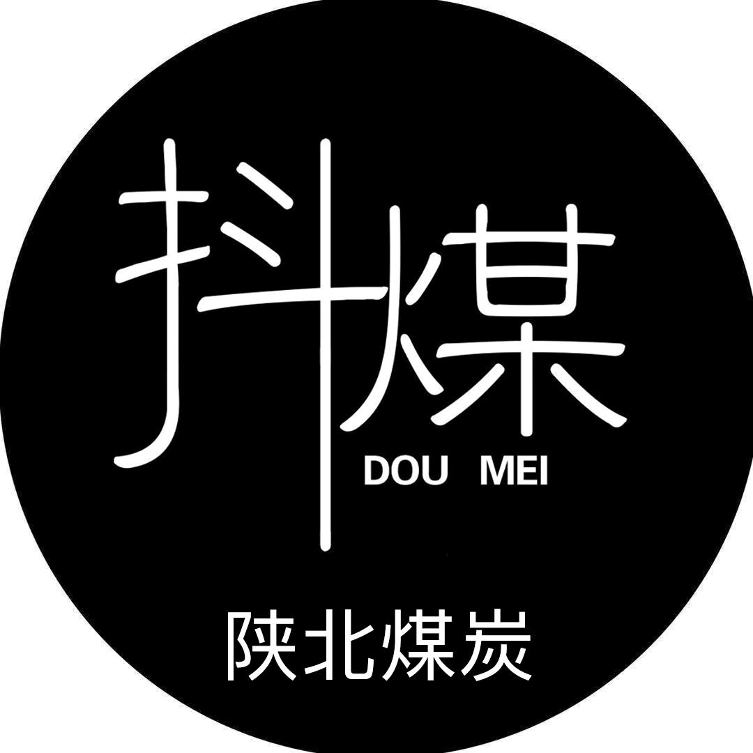 陕北煤炭-府谷县万达通煤焦有限责任公司