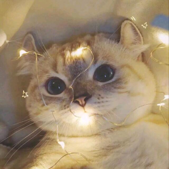 暂别
