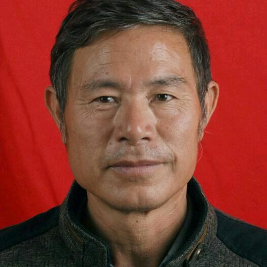 黄梅动态谱