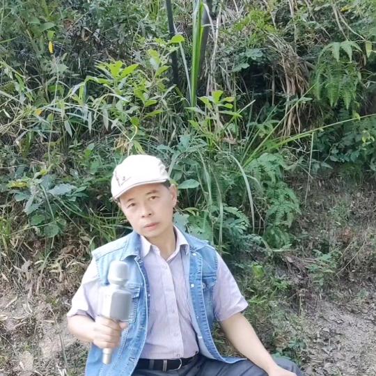 通城老毕