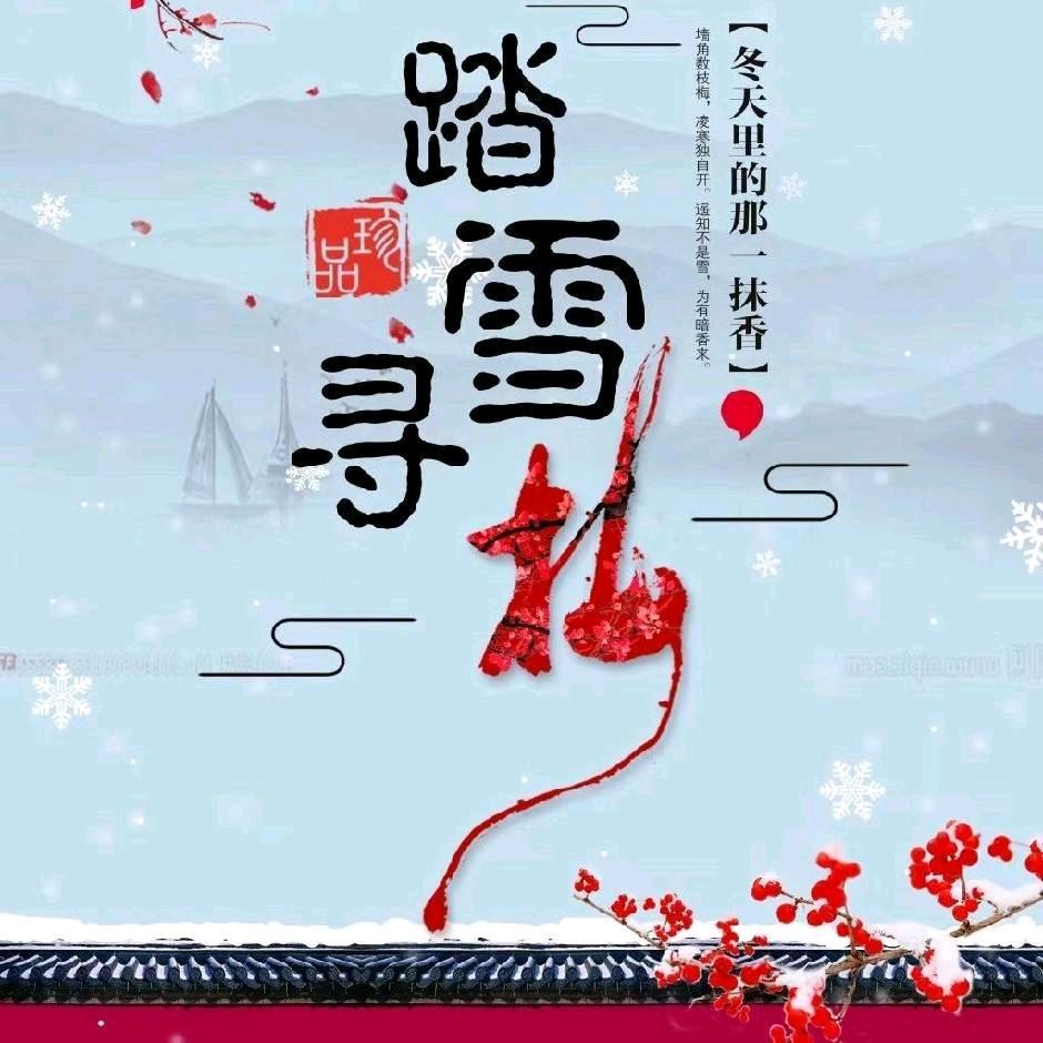 踏雪寻梅✨
