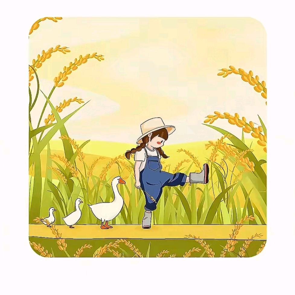 💥👉乐戍时光