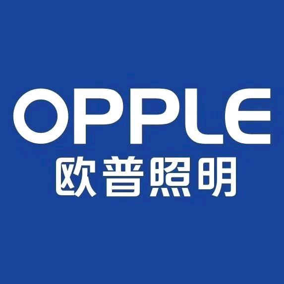 嘉庆快跑（欧普照明大吴店）