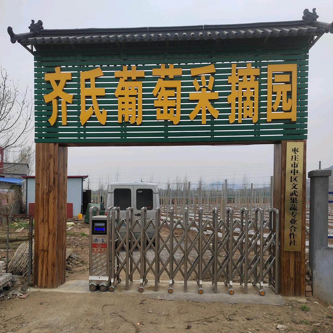 齐氏葡萄采摘园