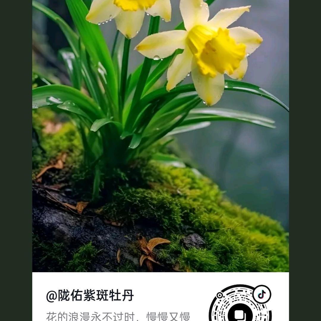 世界万物皆有轮回