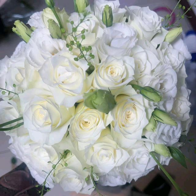 予你ꦿꪸ💕花坊