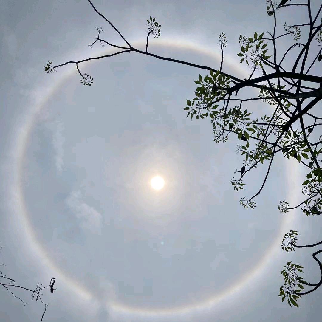 往后余生都是你