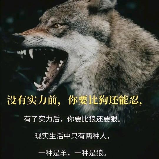 清清草原