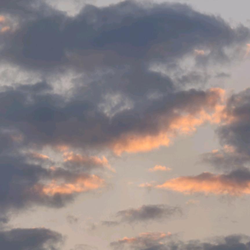 格格的日常生活