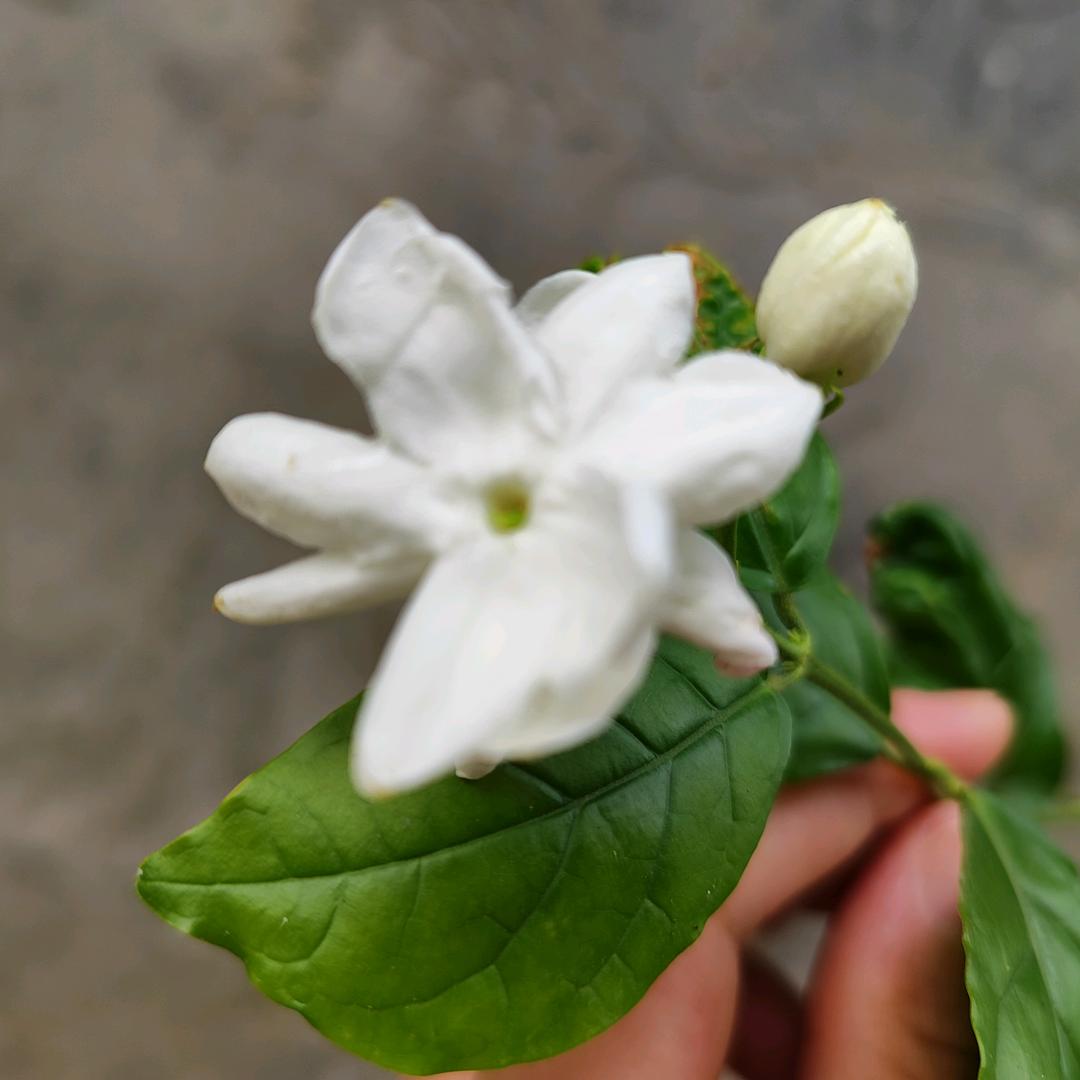 鸿运当头😳😳😳