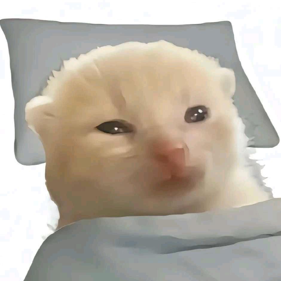 锦玉