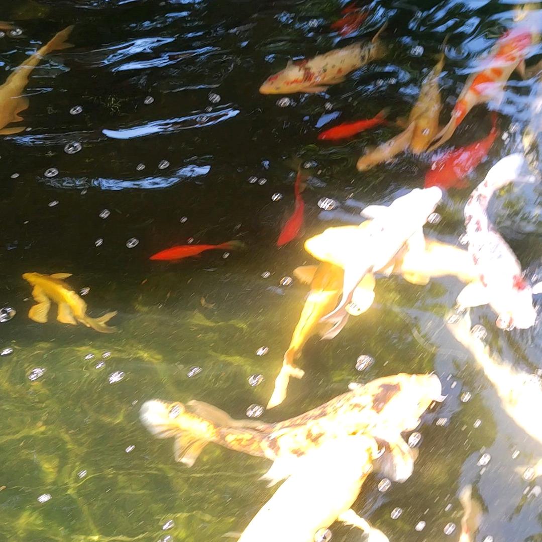 阳光