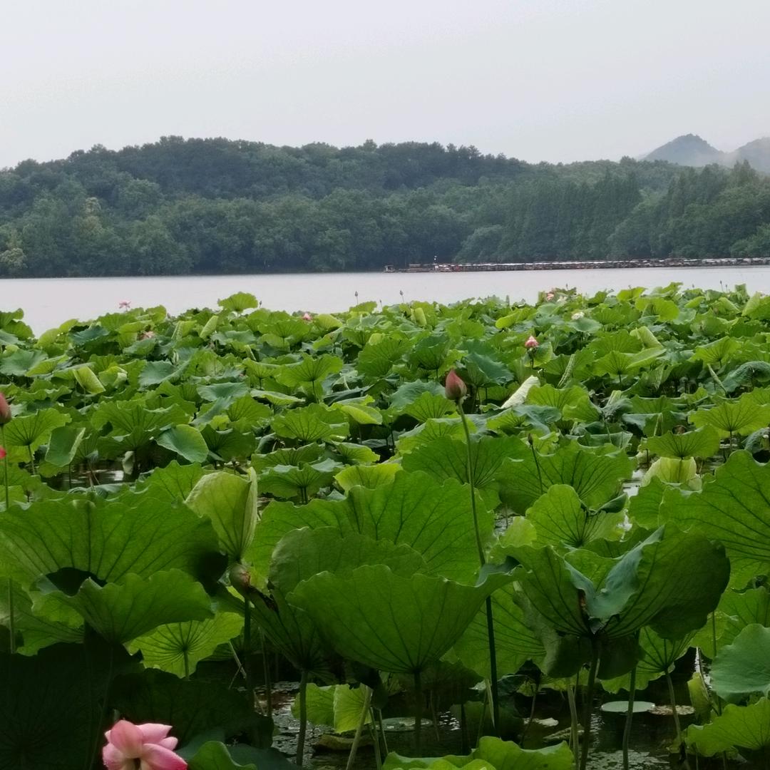 海市蜃楼
