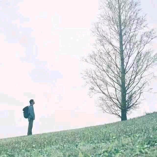 随 风ゞ
