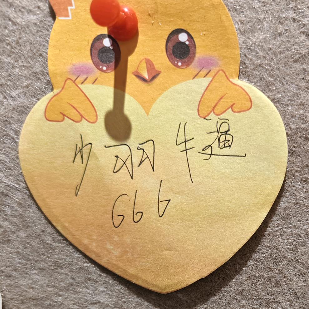 海洋。