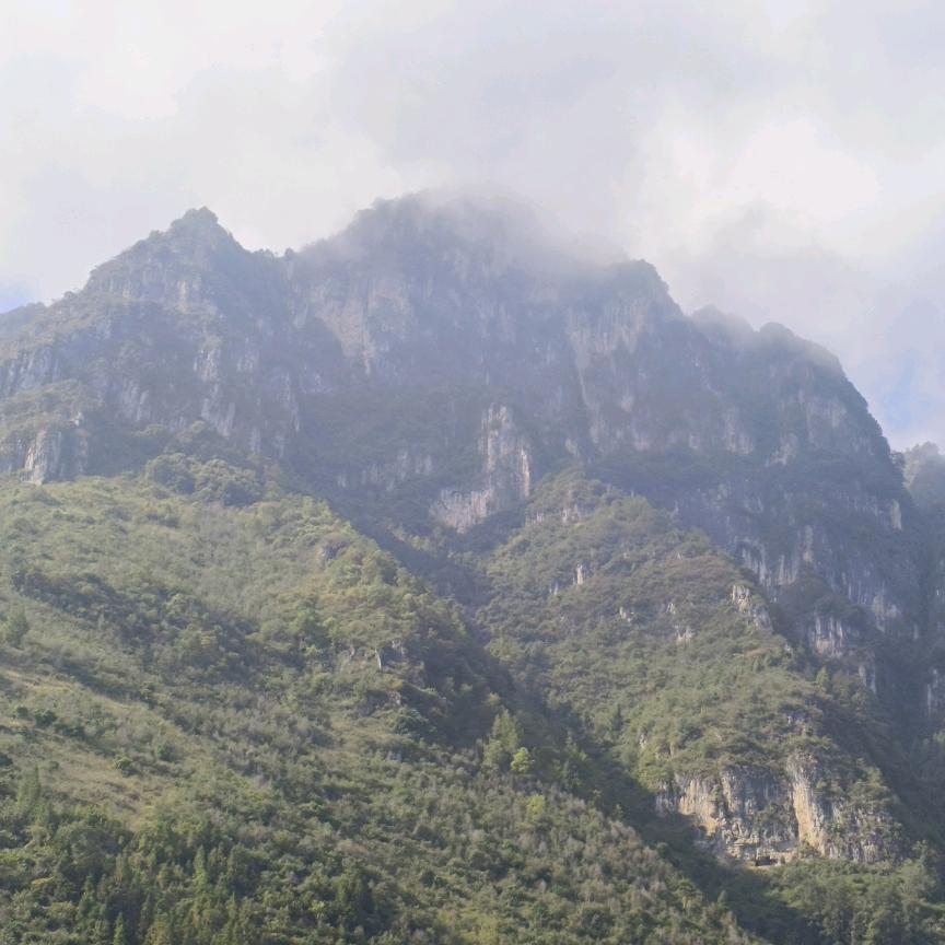 鈊源
