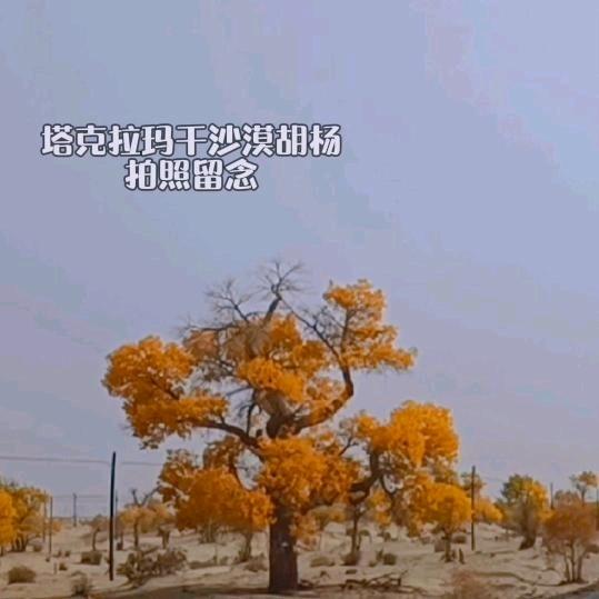 承接喷塑，喷漆，抛丸除锈