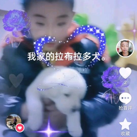 郭庄一哥