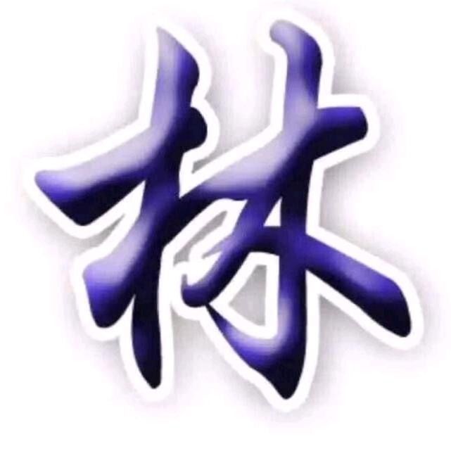 独家记忆